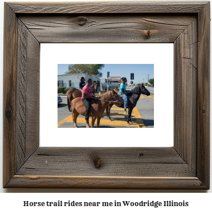 horse trail rides near me in Woodridge, Illinois